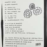 Margaux Gazur: Blurred Memories