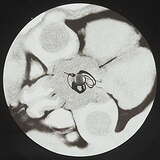 Ben Shirken: H.D. Reliquary