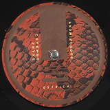 Ostrich: Snake Charmer