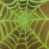 Hyas & Aurèle: Spider Rituals