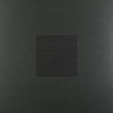 Susumu Yokota: Image 1983-1998 (Skintone Edition)