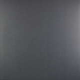 Conna Haraway: Shifted