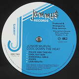 Junior Murvin: Cool Down The Heat