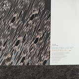 Wata Igarashi & Polygonia: Cross Passage