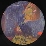 Wata Igarashi: My Supernova