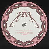 Pink Concrete: Jazz Sultan