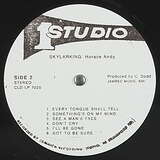 Horace Andy: Skylarking