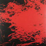 Anthony Naples: In Studio Magic