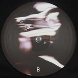 Polygonia: Ceaseless Motion