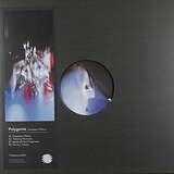 Polygonia: Ceaseless Motion