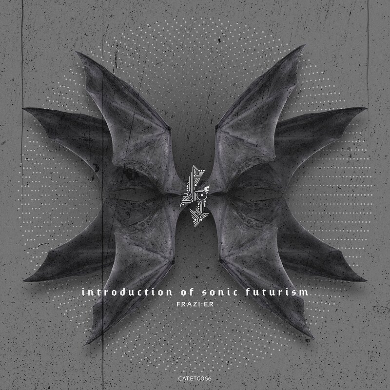 Frazi.er: Introduction To Sonic Futurism