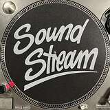 Slipmat: Felt, black, silver print