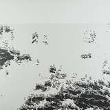 Bot1500: The Black Sea