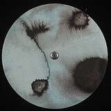 Amir Alexander: The Event Horizon