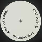 Borgesian Term: False 06