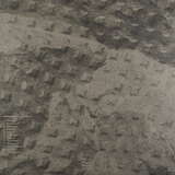 Hallucinator: Landlocked