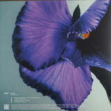 Various Artist: Curation Six: GiGi FM
