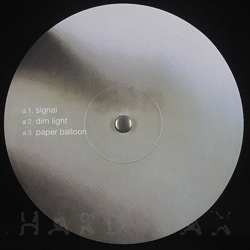 Kotaro Maruyama – Grainy Film vinyl cover